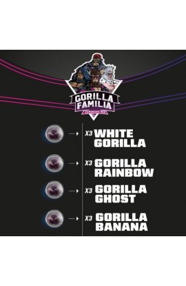 Gorilla Familia 12 unid